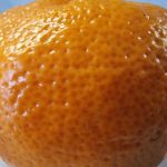 como-las-cascaras-de-naranja-salvan-a-las-plantas-de.jpg